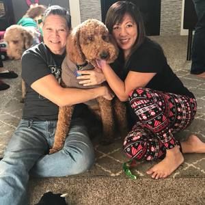 Meet your Posher, Lori